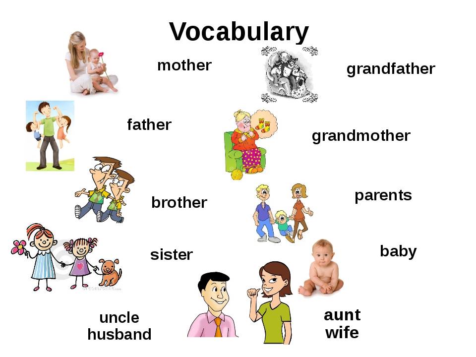 Family members презентация 6 класс