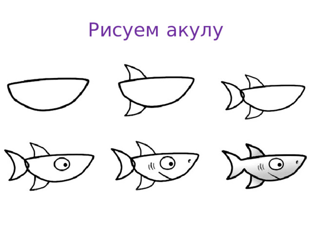 Как рисовать 5. Поэтапное рисование акулы. Рисование акулы для малышей. Акула пошаговое рисование. Акула пошаговое рисование для детей.