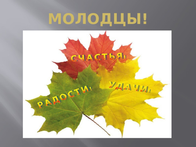 Молодцы! 