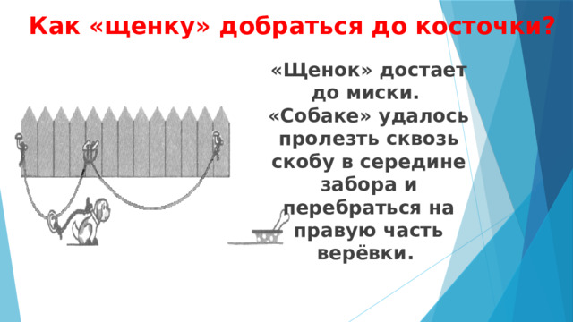  Как «щенку» добраться до косточки? «Щенок» достает до миски. «Собаке» удалось пролезть сквозь скобу в середине забора и перебраться на правую часть верёвки. 