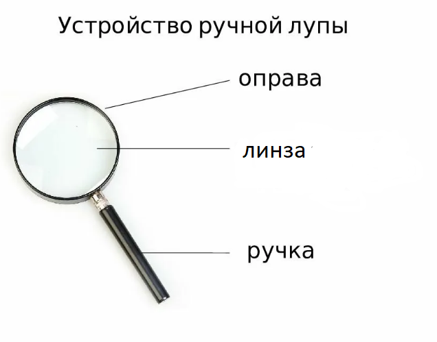 Детали лупы. Основные части лупы 5 класс биология. Строение лупы и микроскопа 5. Луппа строение 5 класс биология. Части ручной лупы.