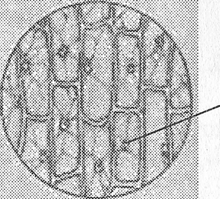 Лабораторная работа клетка под микроскопом. Клеточное строение чешуи лука. Клетки кожицы лука под лупой. Клетка под микроскопом рисунок. Клетки мякоти лука под микроскопом.