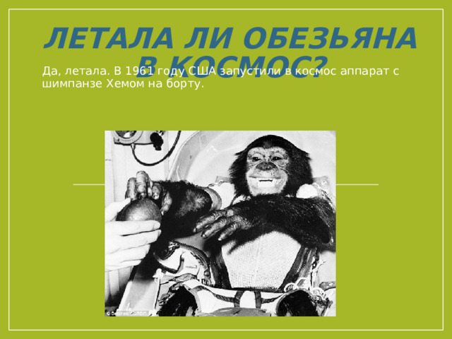Летала ли обезьяна в космос? Да, летала. В 1961 году США запустили в космос аппарат с шимпанзе Хемом на борту. 