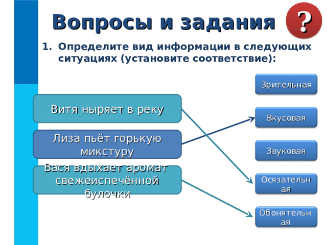 Вопросы и задания ? Определите вид информации в следующих ситуациях (установите соответствие):  Зрительная Витя ныряет в реку Вкусовая Лиза пьёт горькую микстуру Звуковая Вася вдыхает аромат  свежеиспечённой булочки Осязательная Обонятельная 