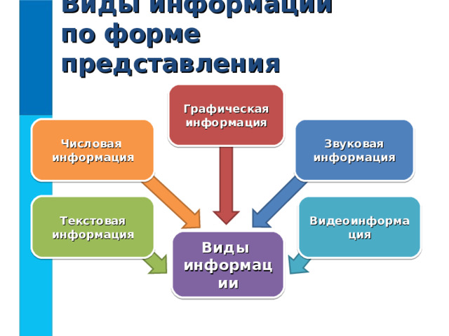 Виды информации  по форме представления Графическая  информация Числовая  информация Звуковая  информация Текстовая  информация Видеоинформация Виды  информации 