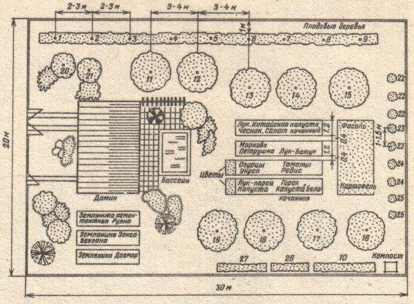 Закладка сада на приусадебном участке схема расстояние