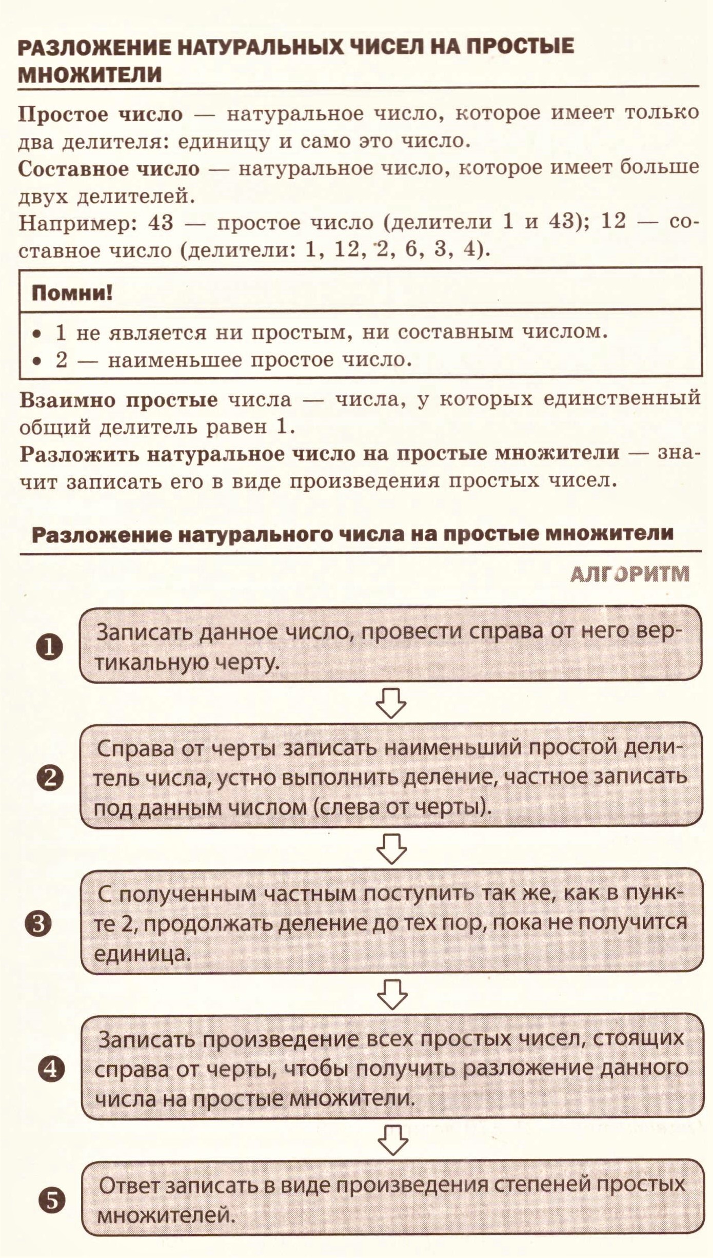 Делимость чисел: теория, алгоритмы и примеры решения типовых задач