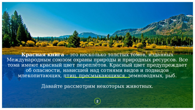 Красная книга – это несколько толстых томов, изданных Международным союзом охраны природы и природных ресурсов. Все тома имеют красный цвет переплётов. Красный цвет предупреждает об опасности, нависшей над сотнями видов и подвидов млекопитающих, птиц, пресмыкающихся, земноводных, рыб.   Давайте рассмотрим некоторых животных. 1 