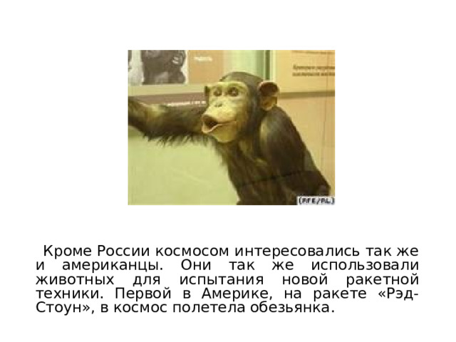  Кроме России космосом интересовались так же и американцы. Они так же использовали животных для испытания новой ракетной техники. Первой в Америке, на ракете «Рэд-Стоун», в космос полетела обезьянка. 