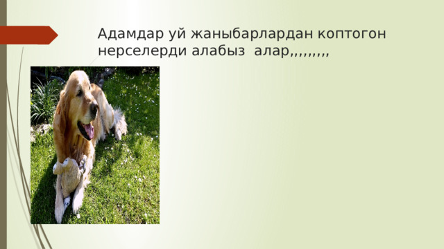 Адамдар уй жаныбарлардан коптогон нерселерди алабыз алар,,,,,,,,, 