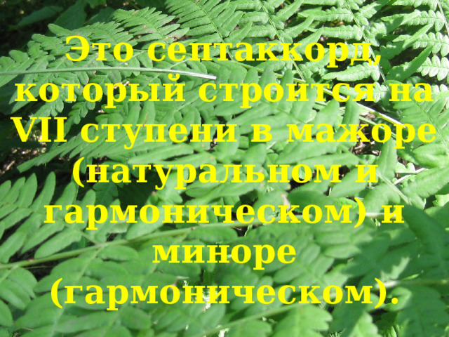 Это септаккорд, который строится на VII ступени в мажоре (натуральном и гармоническом) и миноре (гармоническом). 