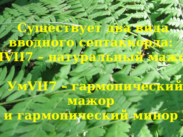 Существует два вида вводного септаккорда:  МVII7 – натуральный мажор   УмVII7 – гармонический мажор  и гармонический минор 