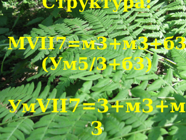  Структура:   МVII7=м3+м3+б3 (Ум5/3+б3)   Ум VII7=3+м3+м3 