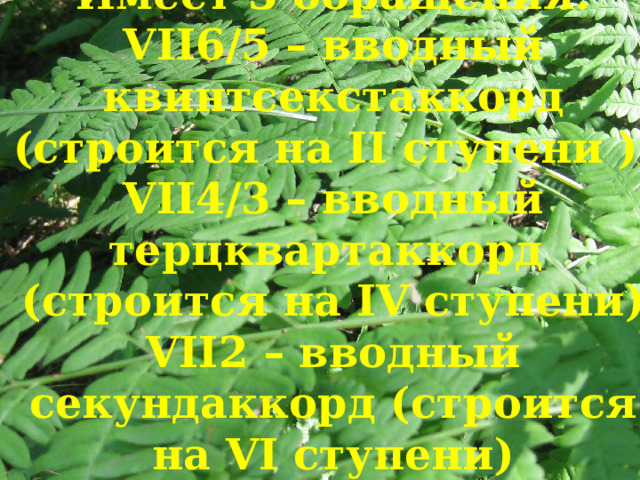  Имеет 3 обращения:  VII6/5 – вводный квинтсекстаккорд (строится на II ступени )  VII4/3 – вводный терцквартаккорд  (строится на IV ступени)  VII2 – вводный секундаккорд (строится на VI ступени) 