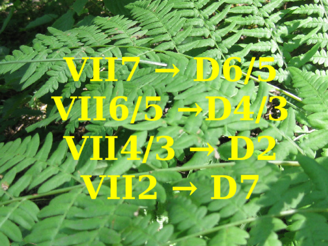   VII7 → D6/5  VII6/5 →D4/3  VII4/3 → D2  VII2 → D7 