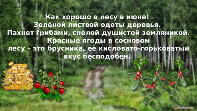 Схема летом в лесу приятно пахнет грибами. Пахнет грибами спелой душистой земляникой. Красная спелая душистая. Зеленой листвой одеты деревья. Что это листвой одеты.