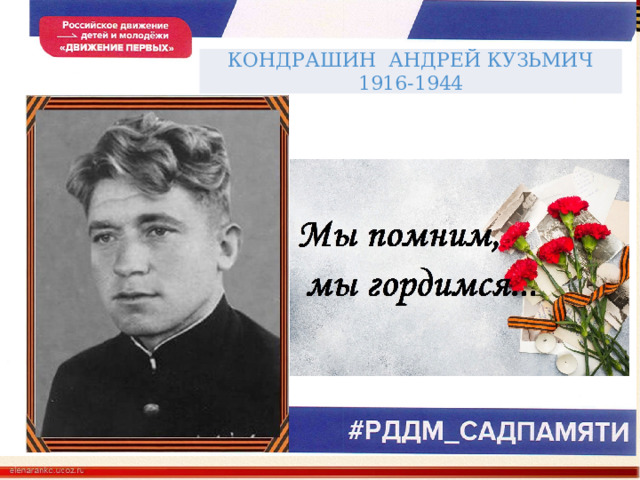 КОНДРАШИН АНДРЕЙ КУЗЬМИЧ 1916-1944 