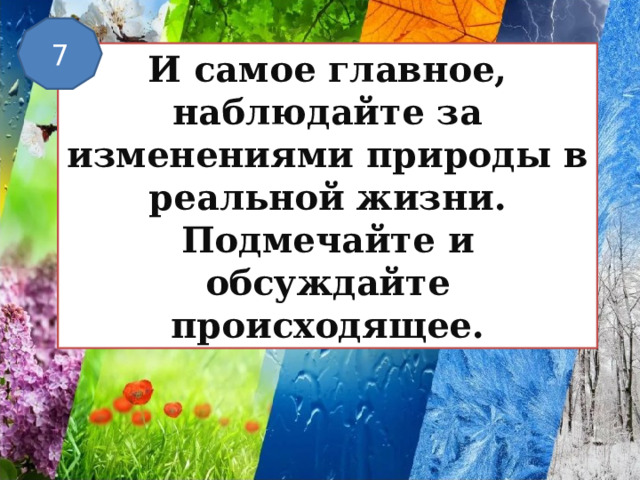 7 И самое главное, наблюдайте за изменениями природы в реальной жизни. Подмечайте и обсуждайте происходящее. 