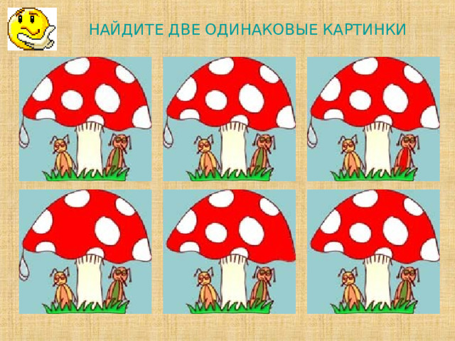 НАЙДИТЕ ДВЕ ОДИНАКОВЫЕ КАРТИНКИ             