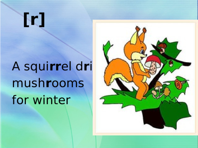 [r]   A squi rr el d r ies mush r ooms for winter 