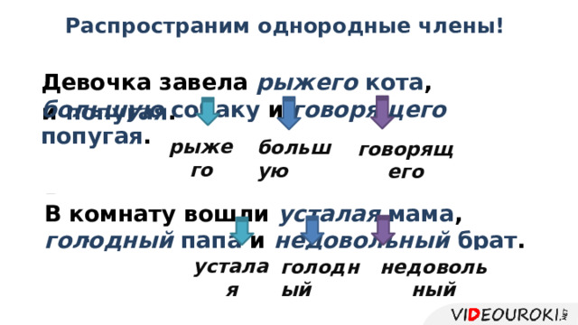 Распространим однородные члены! Девочка завела рыжего  кота , большую  собаку и говорящего  попугая . Девочка завела кота , собаку и попугая . рыжего большую говорящего В комнату вошли мама , папа и брат . В комнату вошли усталая  мама , голодный  папа и недовольный брат . усталая недовольный голодный  