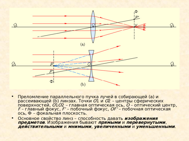 Преломление параллельного пучка лучей в собирающей (a) и рассеивающей (b) линзах. Точки O 1 и O 2 – центры сферических поверхностей, O 1 O 2 – главная оптическая ось, O – оптический центр, F – главный фокус, F' – побочный фокус, OF' – побочная оптическая ось, Ф – фокальная плоскость. Основное свойство линз – способность давать изображения предметов . Изображения бывают прямыми и перевернутыми , действительными и мнимыми , увеличенными и уменьшенными . 