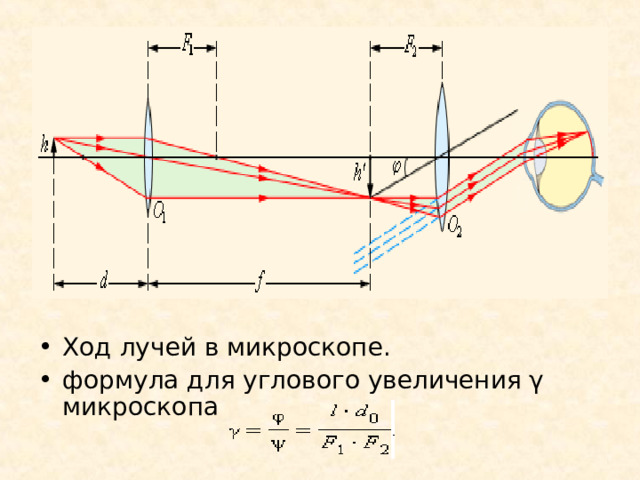 Ход лучей в микроскопе. формула для углового увеличения γ микроскопа 