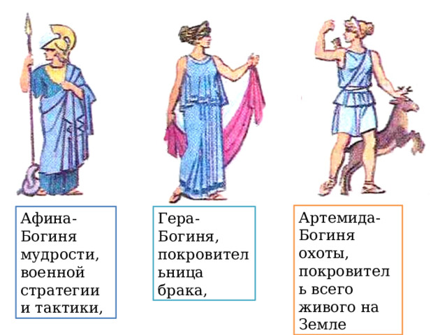 Артемида-Богиня охоты, покровитель всего живого на Земле Афина- Богиня мудрости, военной стратегии и тактики, Гера- Богиня, покровительница брака, 