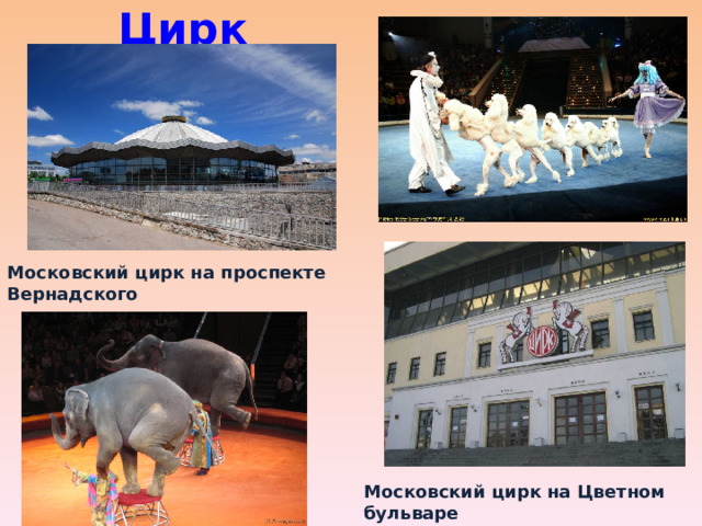 Цирк Московский цирк на проспекте Вернадского Московский цирк на Цветном бульваре 