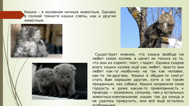 Кошки – в основном ночные животные. Однако в полной темноте кошки слепы, как и другие животные.  Существует мнение, что кошка вообще не любит своих хозяев, а ценит их только за то, что они их кормят, поят, гладят. Однако скорее всего кошки хозяев ещё как любят, просто они любят как-то необычно: не так как человек, как-то по-другому. Кошки в общем-то смогут стать Вам хорошим другом, хотя и не таким преданным, как собаки. Кошки сохранили свою гордость и даже какую-то привязанность к природе — возможно, сильнее, чем у остальных животных-компаньонов: кошек так до конца и не удалось приручить, они всё ещё остались особенными. 