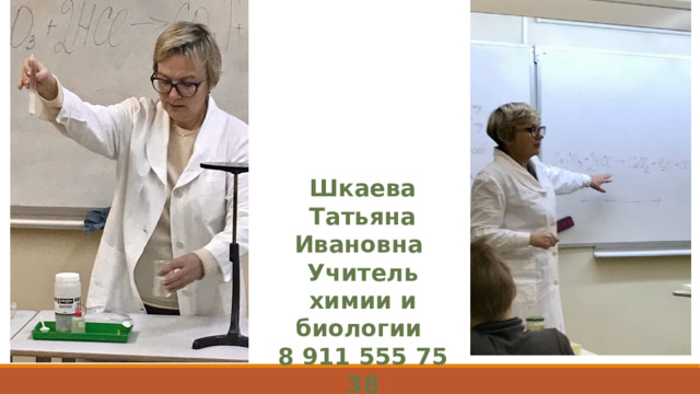 Шкаева Татьяна Ивановна Учитель химии и биологии 8 911 555 75 38 Taty-shkaeva@yandex.ru 