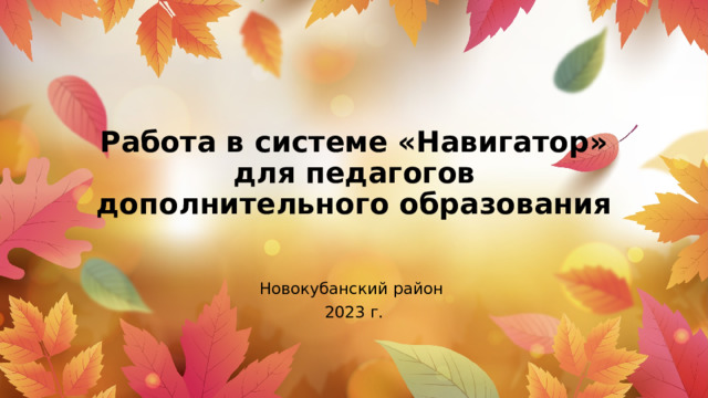 Работа в системе «Навигатор» для педагогов дополнительного образования Новокубанский район 2023 г. 