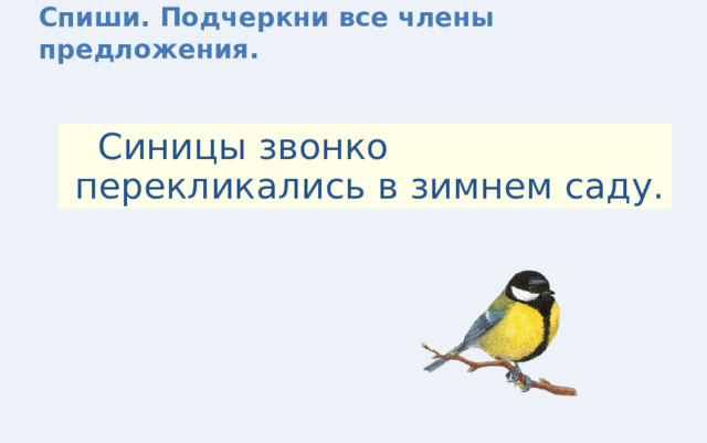 Предложение про синицу. Предложение о синичке. Синица звонко запела привет весне разбор. Синица звонко запела привет весне разбор предложения.