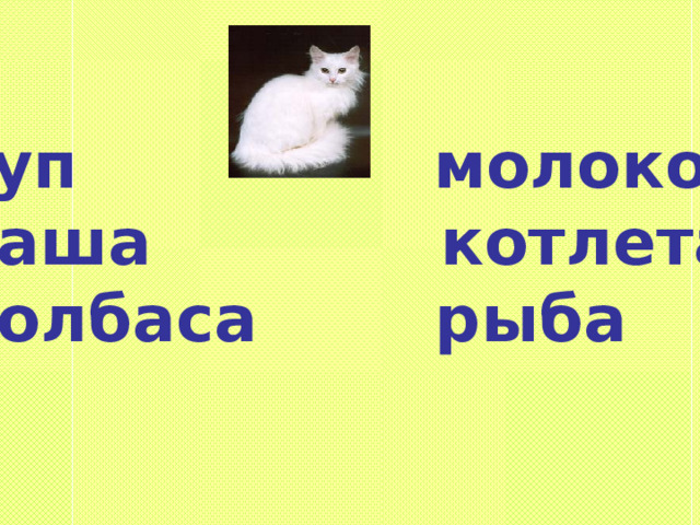  суп молоко  каша котлета  колбаса рыба 