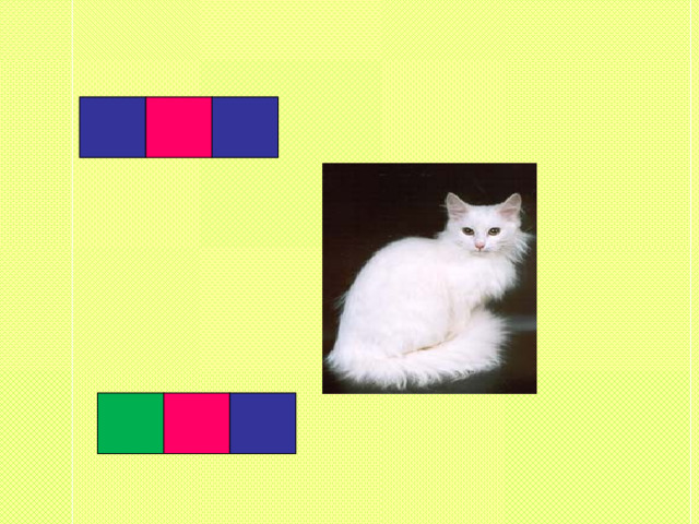 Кота зовут Ким  