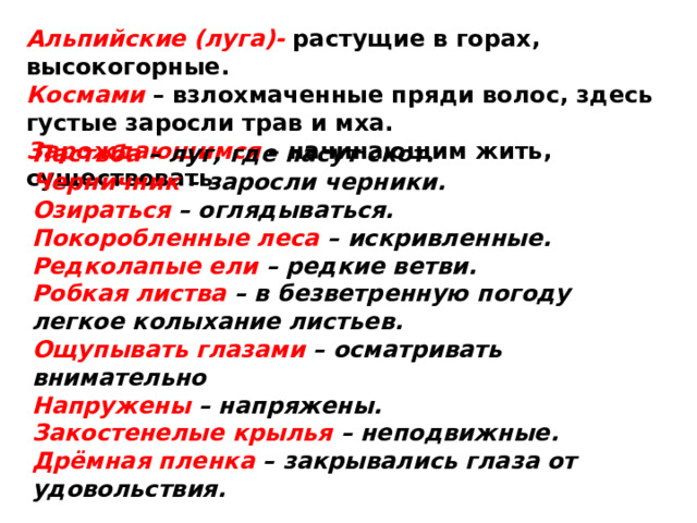 Альпийские (луга)- растущие в горах, высокогорные.  Космами – взлохмаченные пряди волос, здесь густые заросли трав и мха.  Зарождающимся – начинающим жить, существовать.   Пастьба – луг, где пасут скот. Черничник – заросли черники. Озираться – оглядываться. Покоробленные леса – искривленные. Редколапые ели – редкие ветви. Робкая листва – в безветренную погоду легкое колыхание листьев. Ощупывать глазами – осматривать внимательно Напружены – напряжены. Закостенелые крылья – неподвижные. Дрёмная пленка – закрывались глаза от удовольствия. 
