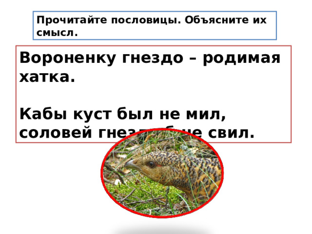 Прочитайте пословицы. Объясните их смысл. Вороненку гнездо – родимая хатка.   Кабы куст был не мил, соловей гнезда б не свил. 