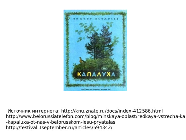  Источник интернета: http://knu.znate.ru/docs/index-412586.html http://www.belorussiatelefon.com/blog/minskaya-oblast/redkaya-vstrecha-kak -kapaluxa-ot-nas-v-belorusskom-lesu-pryatalas http://festival.1september.ru/articles/594342/ 