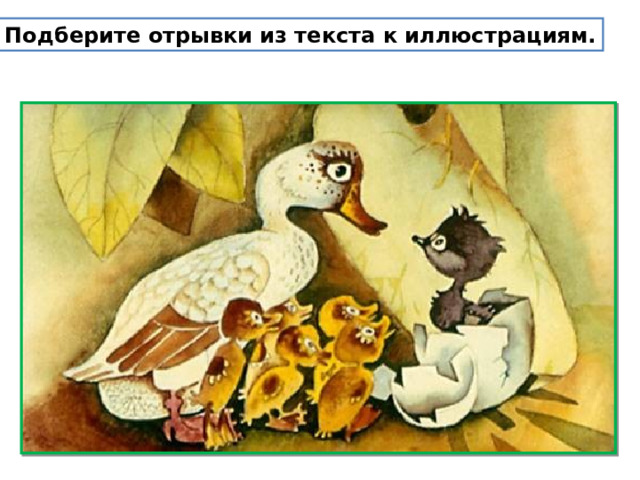 Подберите отрывки из текста к иллюстрациям. 