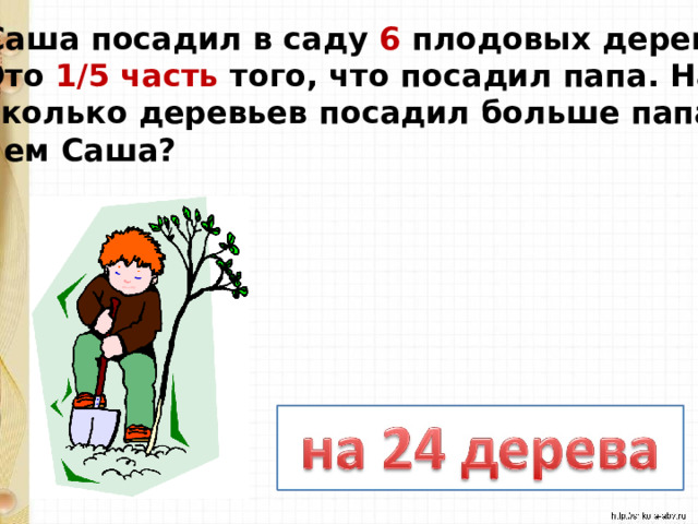 Саша посадил в саду 6 плодовых дерева. Это 1/5 часть того, что посадил папа. На сколько деревьев посадил больше папа, чем Саша? 