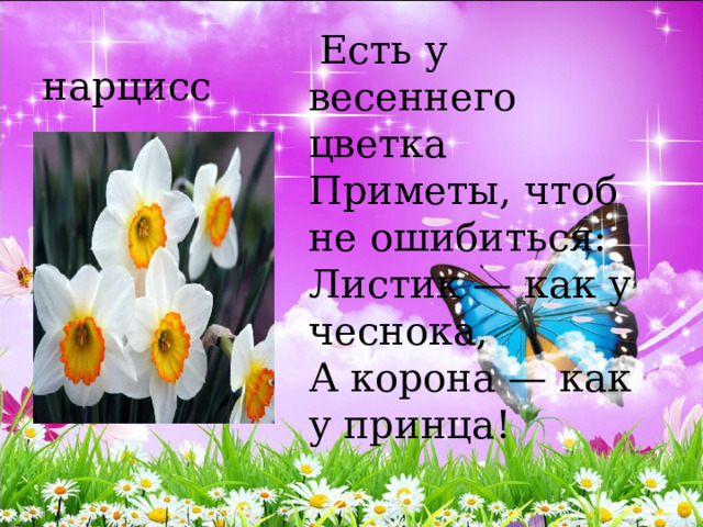  Есть у весеннего цветка   Приметы, чтоб не ошибиться:   Листик — как у чеснока,   А корона — как у принца!   нарцисс 