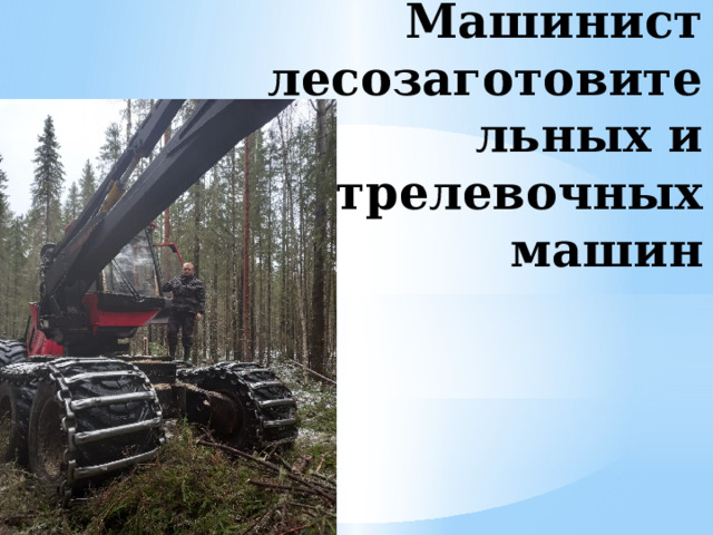 Машинист лесозаготовительных и трелевочных машин 