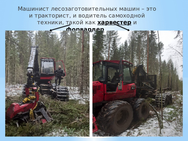 Машинист лесозаготовительных машин – это и тракторист, и водитель самоходной техники, такой как харвестер и форвардер . 