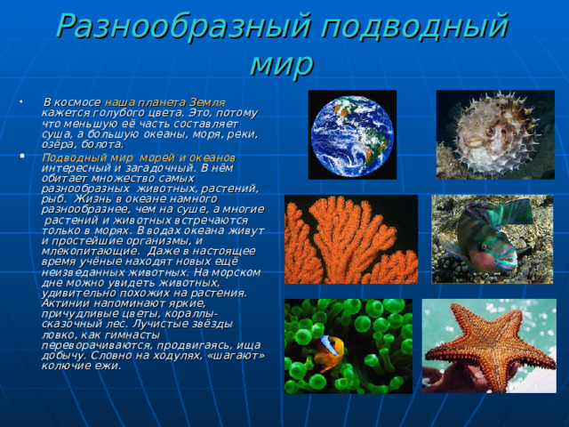 Разнообразный подводный мир  В космосе наша планета Земля кажется голубого цвета. Это, потому что меньшую её часть составляет суша, а большую океаны, моря, реки, озёра, болота. Подводный мир морей и океанов интересный и загадочный. В нём обитает множество самых разнообразных  животных, растений, рыб.   Жизнь в океане намного разнообразнее, чем на суше, а многие растений и животных встречаются только в морях. В водах океана живут и простейшие организмы, и млекопитающие.  Даже в настоящее время учёные находят новых ещё неизведанных животных. На морском дне можно увидеть животных, удивительно похожих на растения. Актинии напоминают яркие, причудливые цветы, кораллы- сказочный лес. Лучистые звёзды ловко, как гимнасты переворачиваются, продвигаясь, ища добычу. Словно на ходулях, «шагают» колючие ежи. 