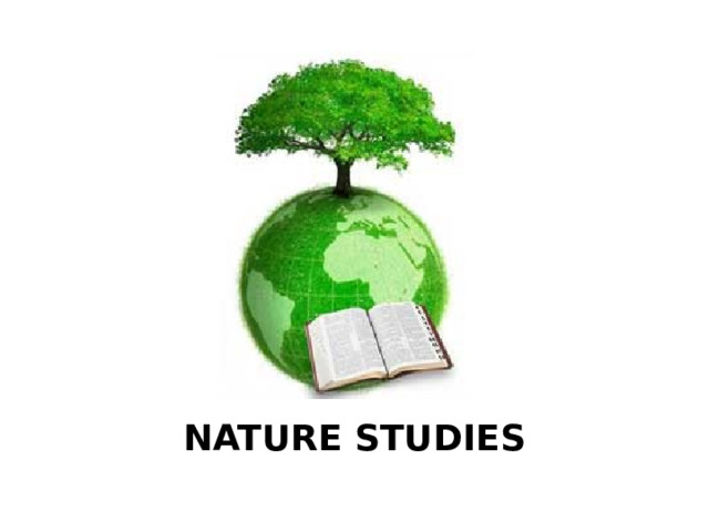 NATURE STUDIES 
