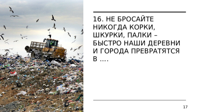 16. Не бросайте никогда корки, шкурки, палки –  Быстро наши деревни и города превратятся в ….       