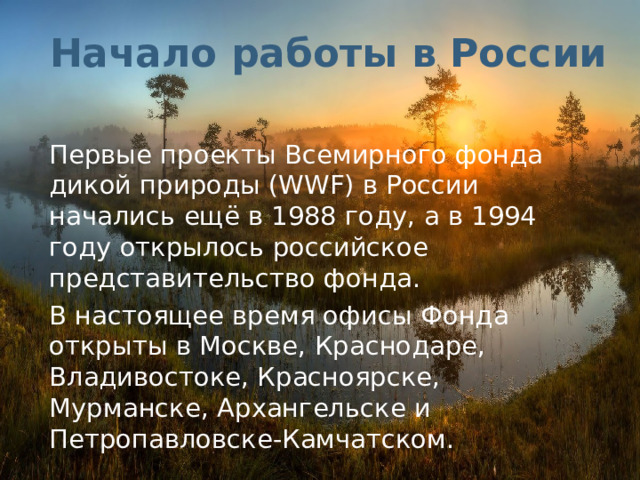 Начало работы в России Первые проекты Всемирного фонда дикой природы (WWF) в России начались ещё в 1988 году, а в 1994 году открылось российское представительство фонда. В настоящее время офисы Фонда открыты в Москве, Краснодаре, Владивостоке, Красноярске, Мурманске, Архангельске и Петропавловске-Камчатском. 