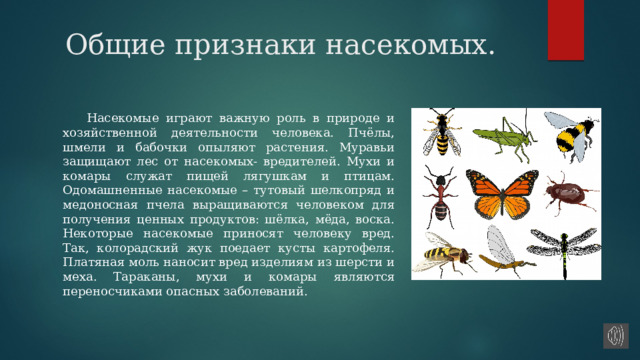 Презентация к конспекту урока окружающего мира во 2 классе "Начальная школа 21 в