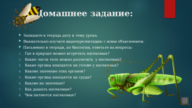 Тест по биологии многообразие насекомых 7 класс. Многообразие насекомых 7 класс презентация. Признаки насекомых 7 класс. Внешние признаки насекомых. Письменная работа биология 7 класс разнообразие насекомых.