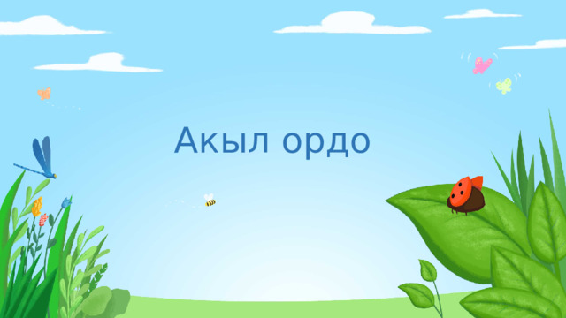 Акыл ордо 